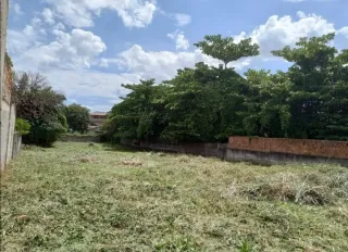 Limpieza de parcelas poda de árboles