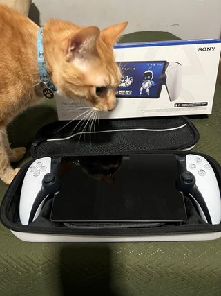 PlayStation Portal Sony Bianca come nuova