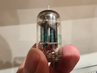 Amplificador de auriculares Bravo Ocean