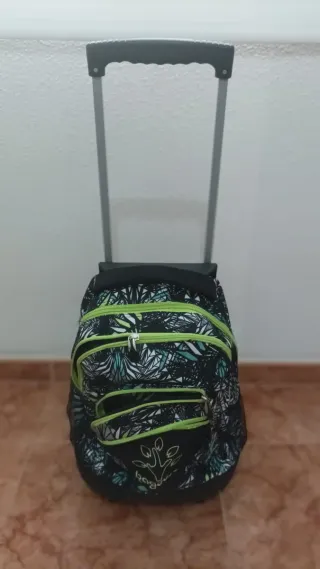 Mochila de ruedas Baggor
