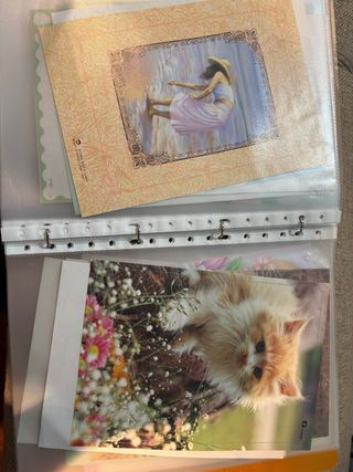 Portadas de hojas perfumadas