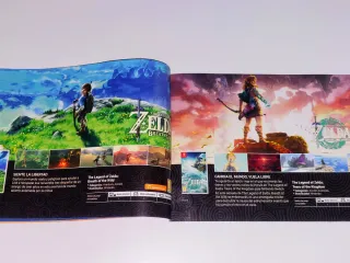 Folleto Nintendo Switch, Leyendas Pokémon Arceus