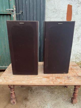 Altavoces Sony Marrones