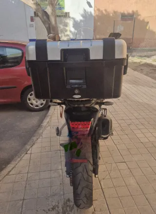 Triumph Tiger 900 Rally Pro