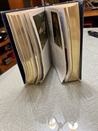 El Libro de la Virgen - Edición de Lujo (Edicel)