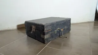 Giradischi a manovella vintage anni '20