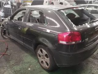 Despiece Audi A3 (8P)