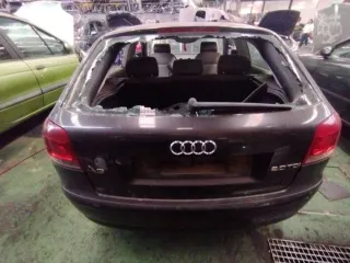Despiece Audi A3 (8P)