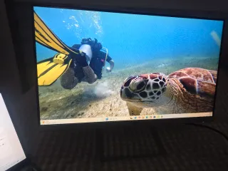 Monitor HP Negro