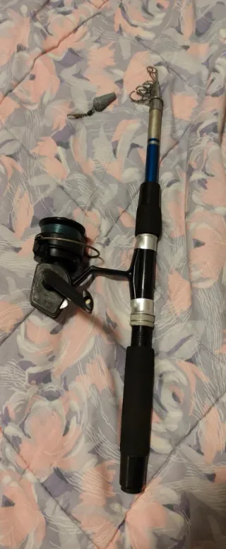 Caña de pescar spinning reel con carrete