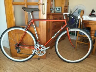 Bicicleta Zeus Clásica Carretera