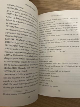 BODAS DE SANGRE: Edición para ESO y Bachillerato