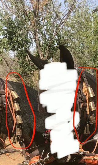 Collares de cencerras para animales