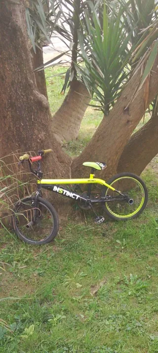 Bicicleta BMX INSTINCT