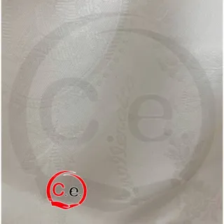 Coppia federe palemmo