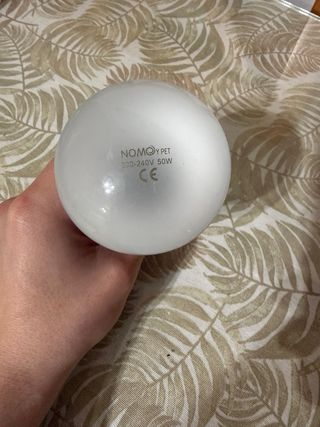 Pack Scale Area Camaleón Profesional + extras