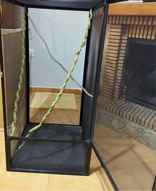 Pack Scale Area Camaleón Profesional + extras