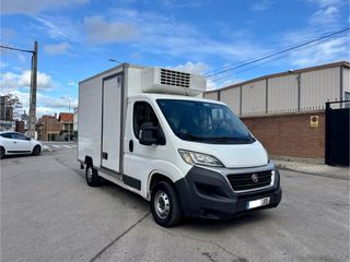 FIAT Ducato FRIGORIFICO -20G equipo de frio