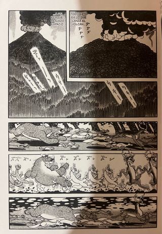 Lote Fenix de Tezuka