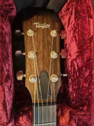 Guitarra Taylor American Dream 17e