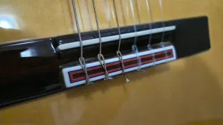 Guitarra D rio