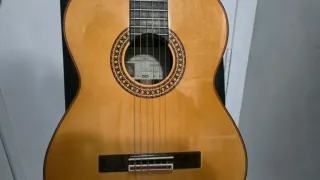 Guitarra D rio
