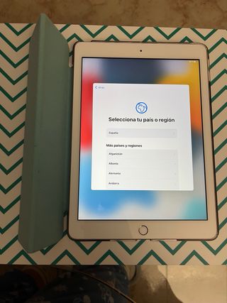 Apple iPad Rose y Blanco