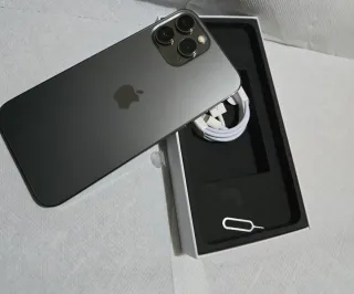 iPhone 13 Pro Max Gris