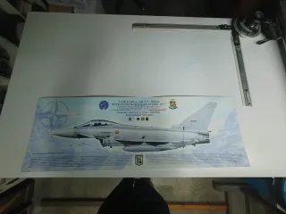 Stampa Operazione Northern Stork 2019