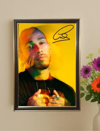 Quadro autografato Lewis Hamilton ferrari f1