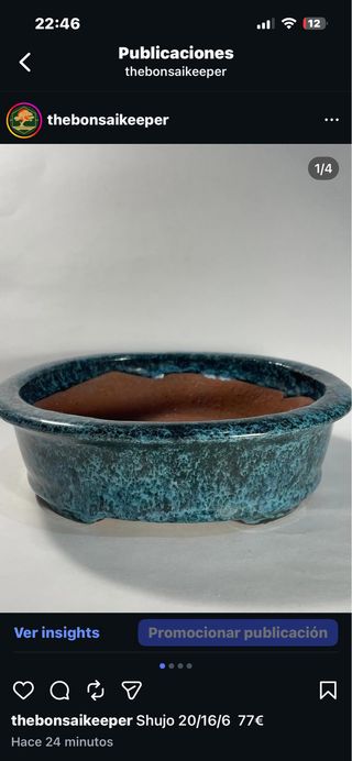 Maceta bonsai shujo azul/verde