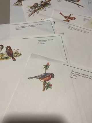 Carta da lettera vintage con disegni uccelli