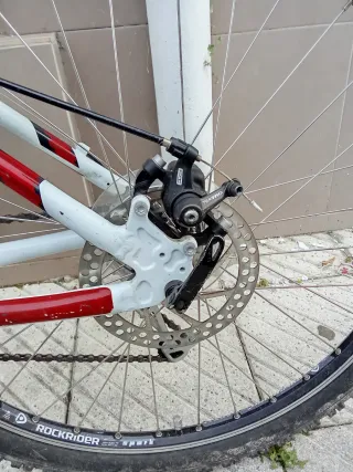 Bicicleta MTB Frenos Disco