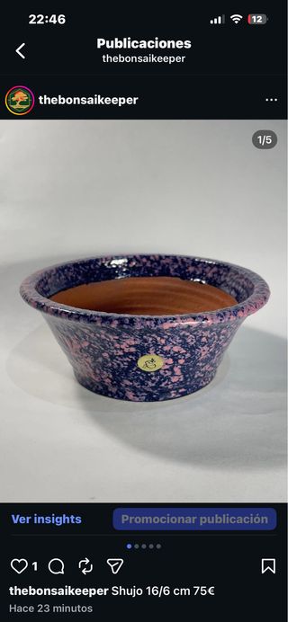 Maceta cerámica Eimei azul/rosa