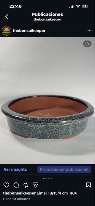 Maceta Eimei para bonsái 18/15/4 cm