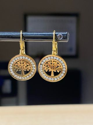 Orecchini in Acciaio Dorato Albero della Vita