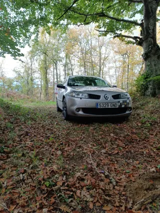 Renault Megane sport 175 chasis cup