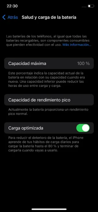 iPhone 15 Pro 256 GB - Batería 100%
