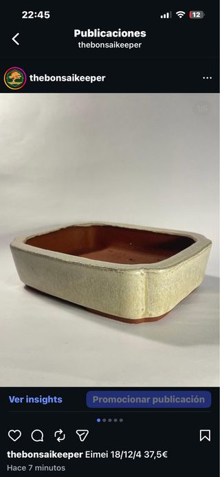 Maceta Bonsái Eimei Cerámica Beige/Marrón