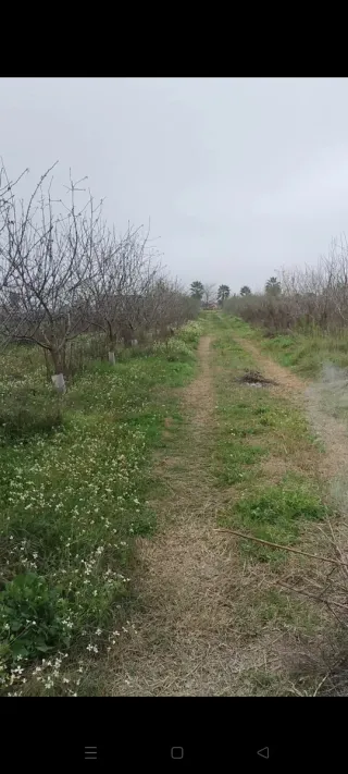 Parcela 1.000 metros. En los palacios