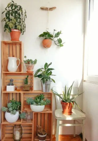 Cajas de fruta de madera.