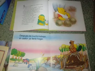 Lote cuentos infantiles