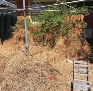 Jardinero economíco