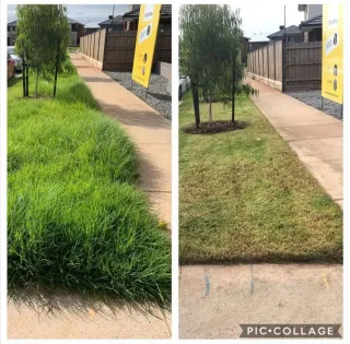 Jardinero economíco