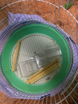 Jaula para pájaros verde y plateada