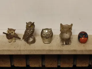 Cinco figuras búhos de colección son cinco
