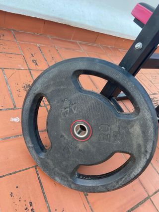 Mini gimnasio completo: pesas, barra y accesorios