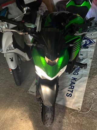 Kawasaki Z900 A2 2019 Verde