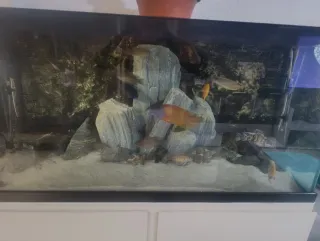 Acuario 200L completo