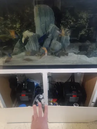 Acuario 200L completo